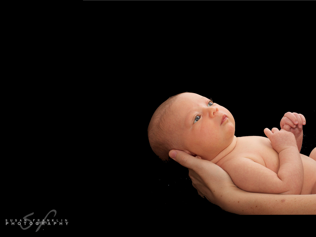 Susan Franklin Photography ....simply natural portraits....servicing Niagara Region 289-214-8737 #newborn photograher #niagara newborn photographer #maternity photographer #childrens photographer #best #St. Catharines